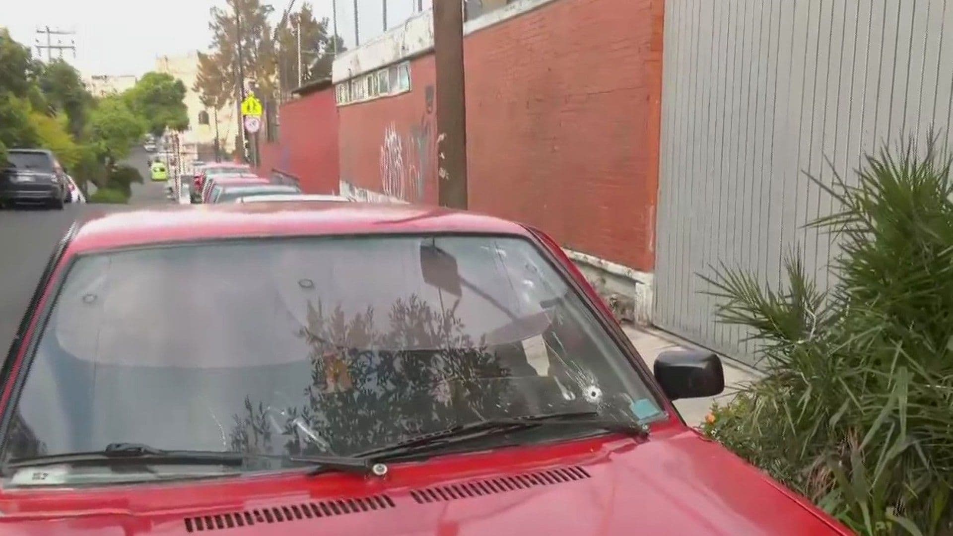 Balacera en Pedregal de Santo Domingo Hoy: ¿Qué Pasó en la Alcaldía Coyoacán, CDMX?