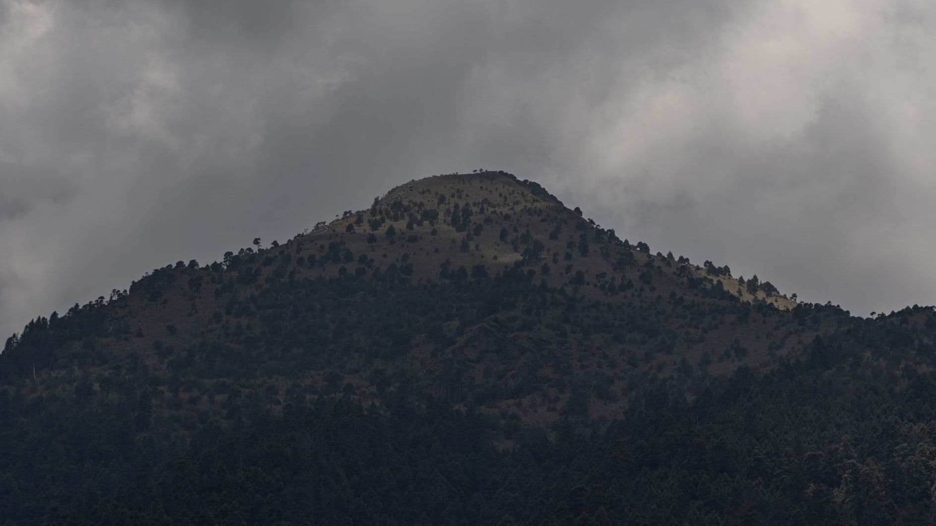 14 Días de Búsqueda de Ana Amelí; Hoy Volvieron Colectivos y sus Padres a la Zona del Ajusco