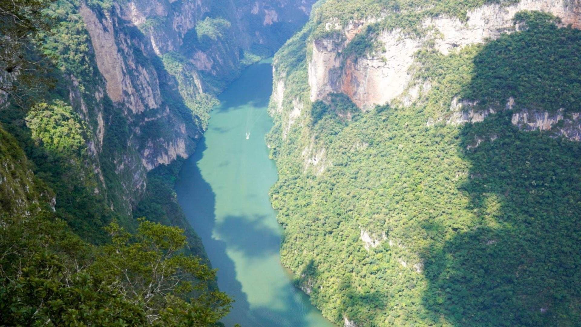 Grupo de Excursionistas Se Pierde en el Cañón del Sumidero: Así Rescataron a los 7 Jóvenes