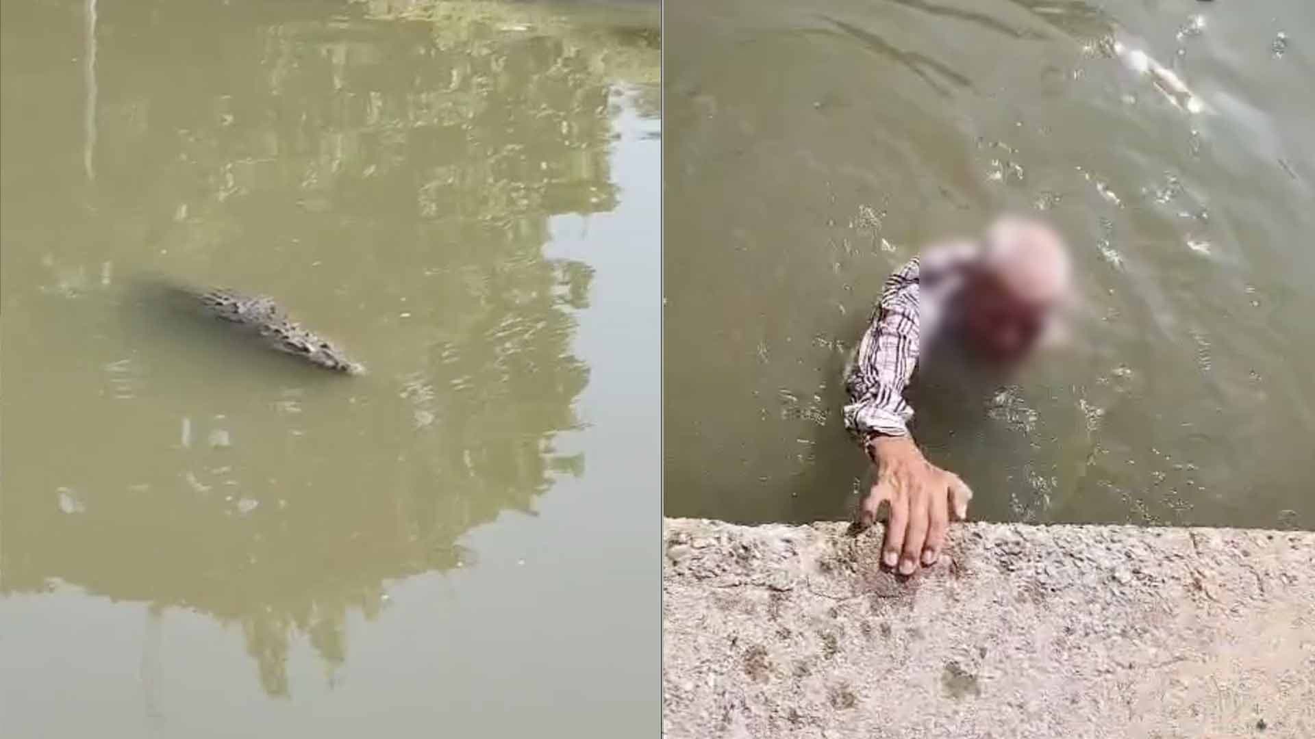 Rescatan a Abuelito de Ataque de Cocodrilo Mientras Nadaba en Canal de la Cortadura en Tampico