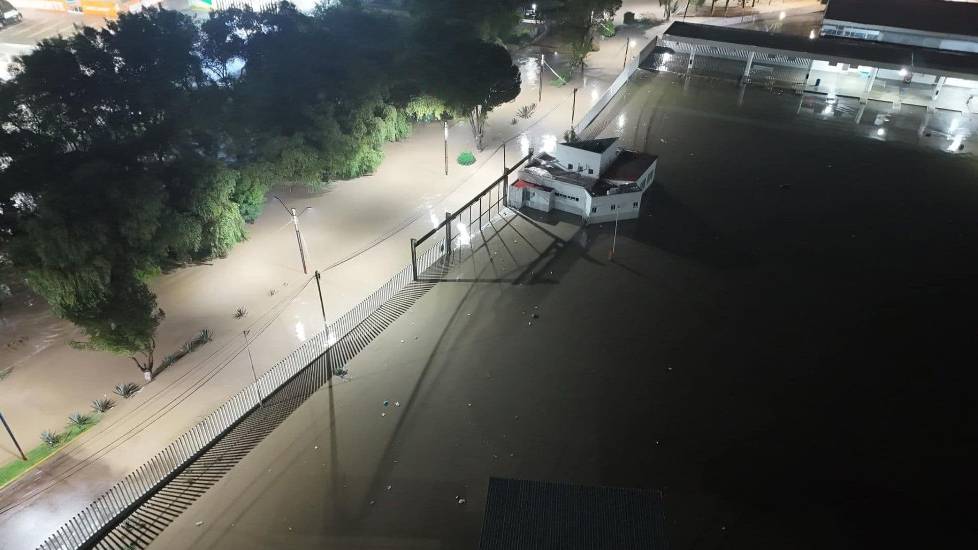 Desbordamiento del Río Tepeji, en Hidalgo, Deja Encharcamientos y Caída de Árboles