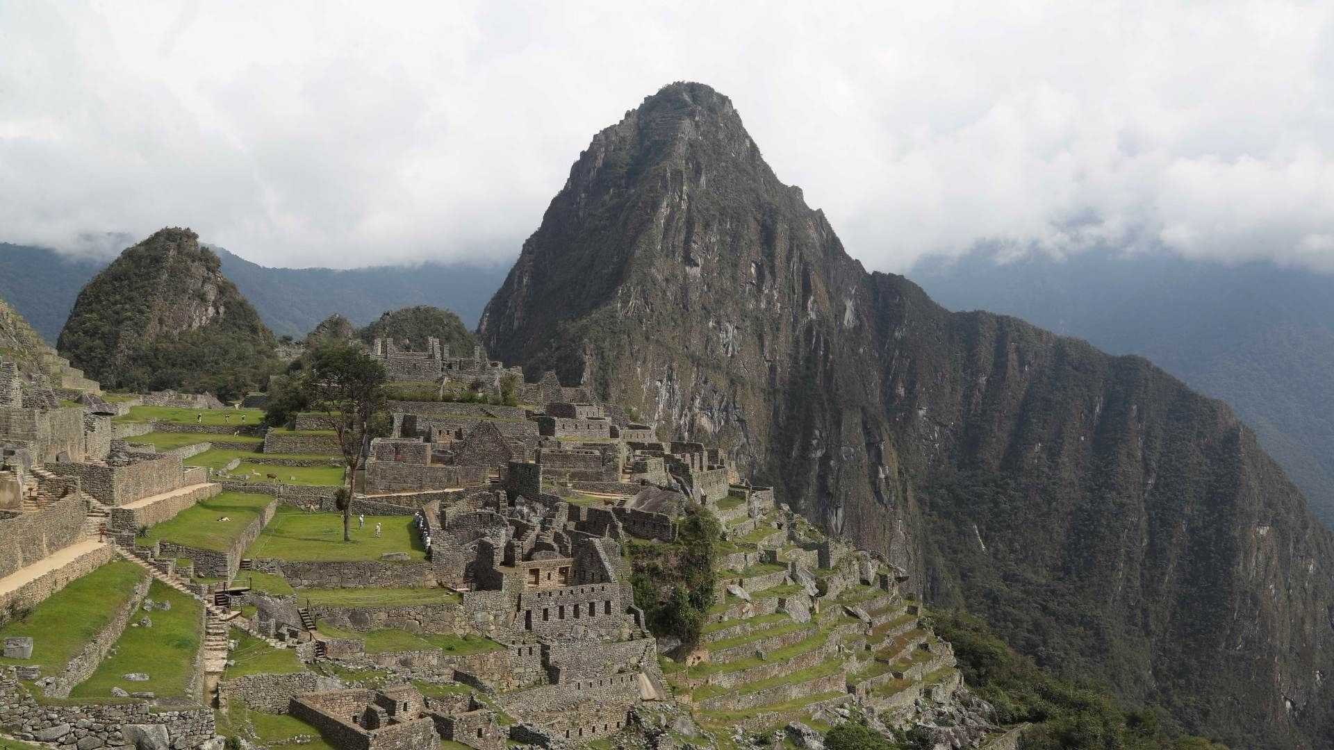Accidente en Machu Picchu: Vuelca Autobús con Turistas Mexicanos que Resultan con Fracturas
