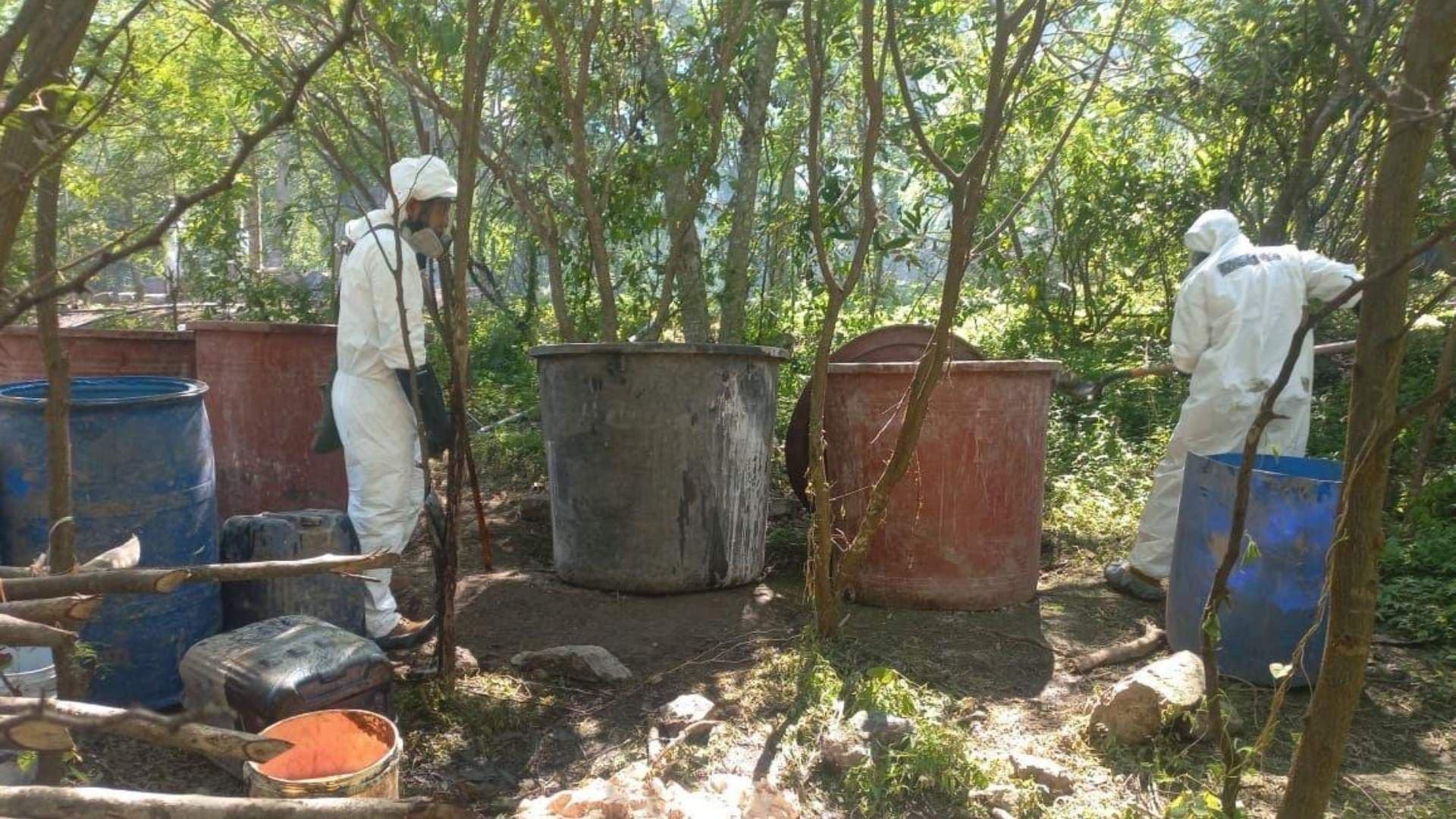 Aseguran 21 Toneladas de Metanfetamina en 2 Laboratorios Vinculados a 'Los Mayos' en Durango