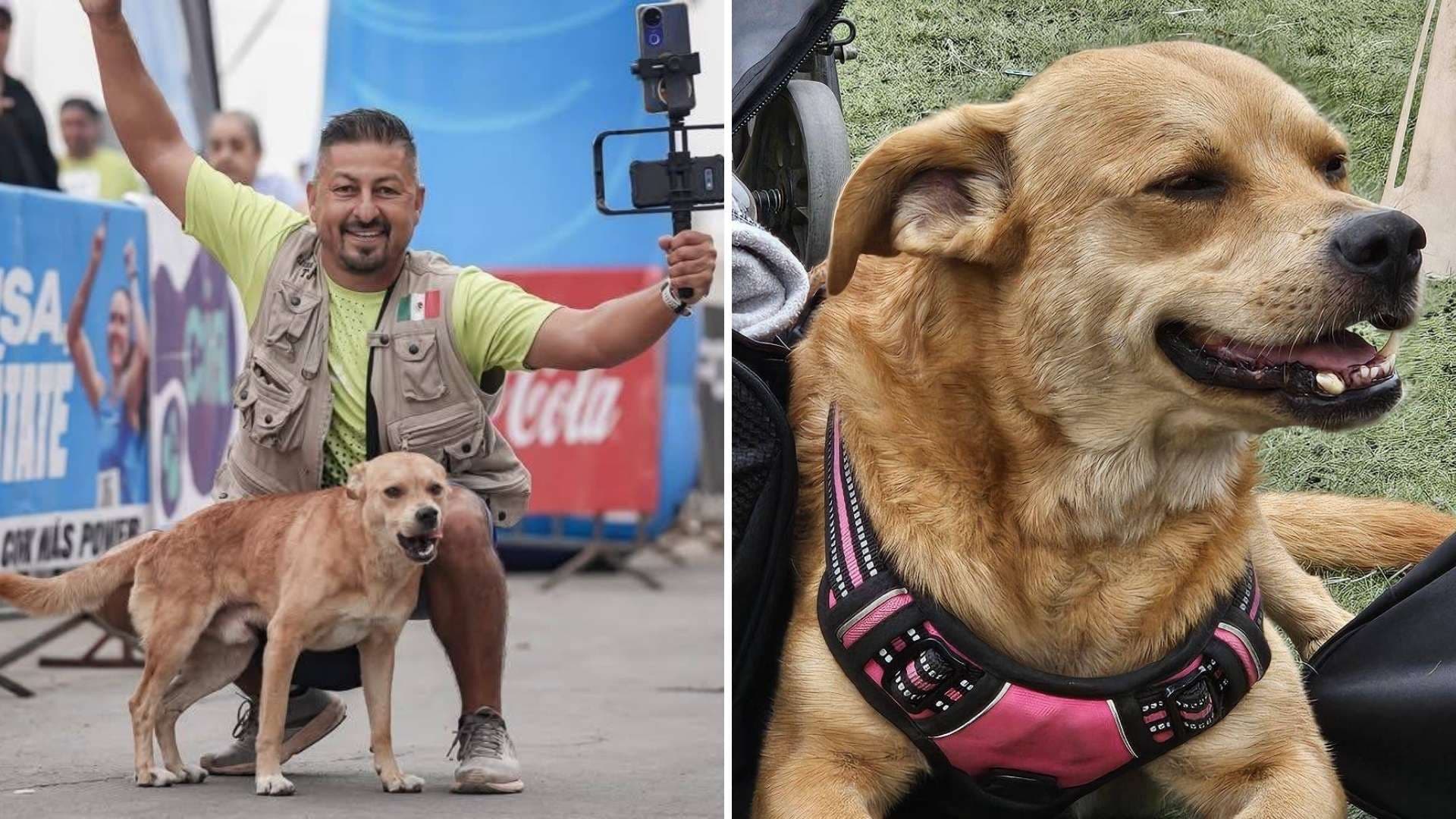 Dueño de "El Chicles", el Perro Maratonista, Entregó Restos a Fiscalía para Investigar su Muerte