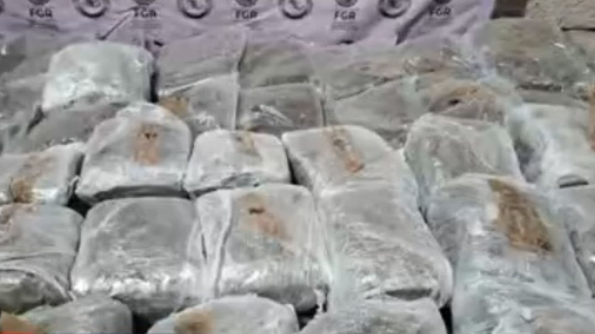 Aseguran más de 220 Paquetes de Marihuana en Operativo en General Bravo, Nuevo León