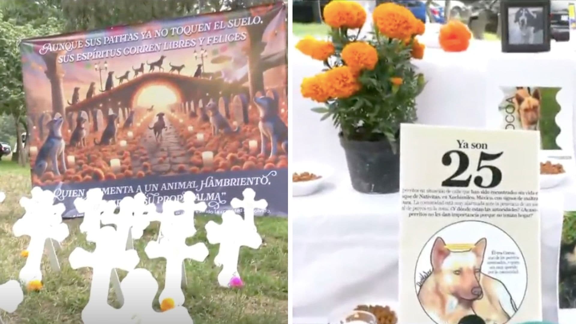 Con Ofrenda, Cruces y Flores, Recuerdan a 25 Lomitos Asesinados en Nativitas, Xochimilco