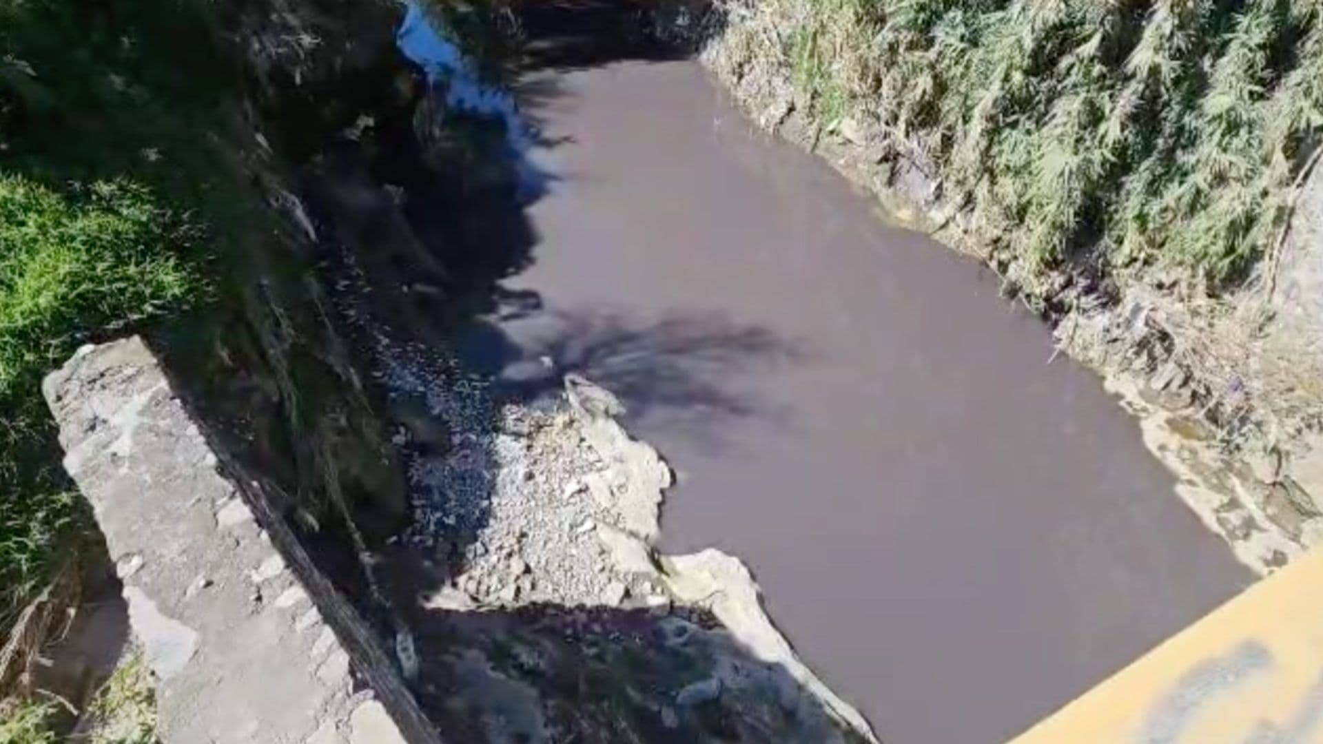 Localizan Cuerpo Sin Vida de un Hombre Flotando en el Río Alseseca de Puebla