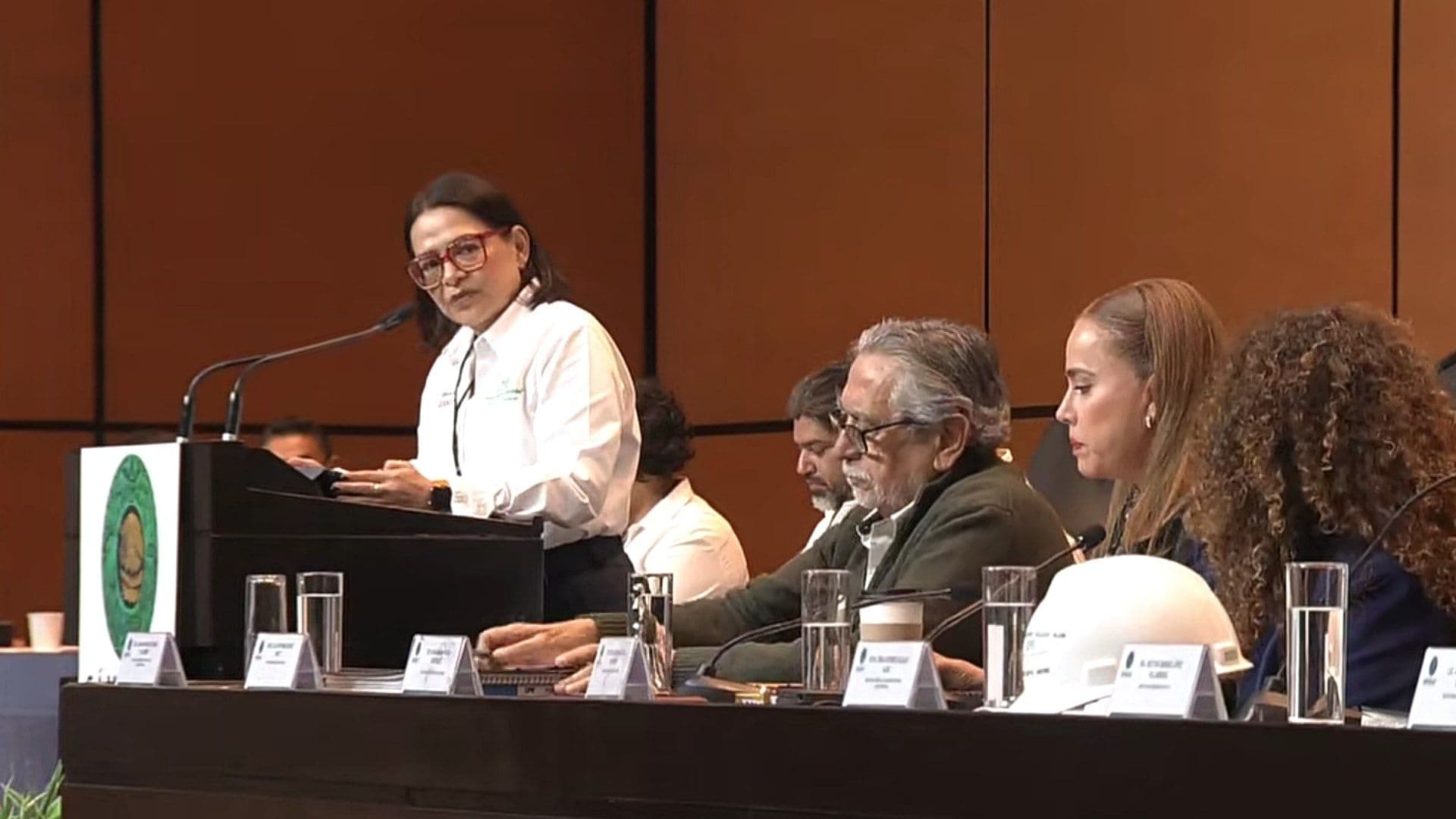 Directora de CFE Comparece en San Lázaro; Destaca Apoyo en Tarifas Eléctricas