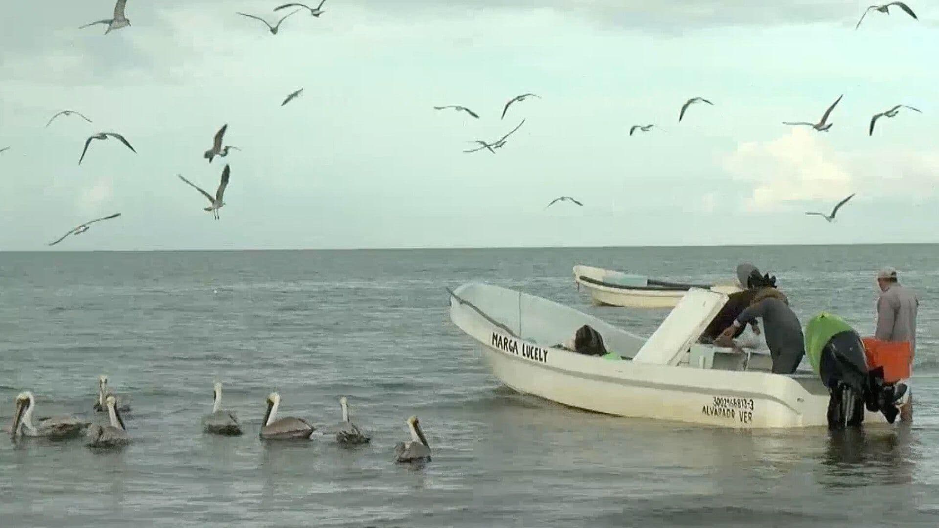 Frentes Fríos Afectan la Pesca en Antón Lizardo, Alvarado