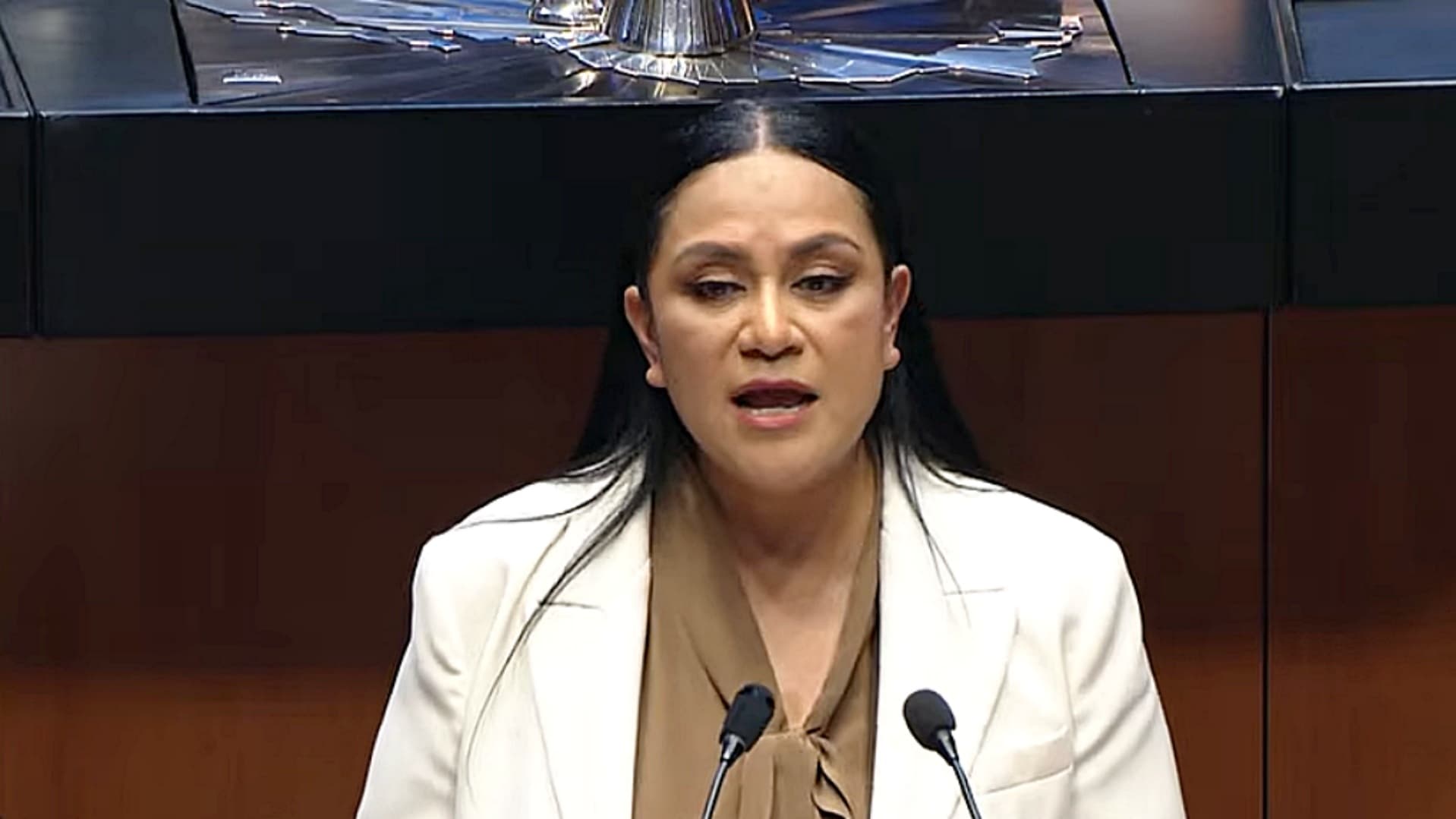 "Viene lo Mejor para México"; Programas de Bienestar, con Recursos Garantizados: Ariadna Montiel