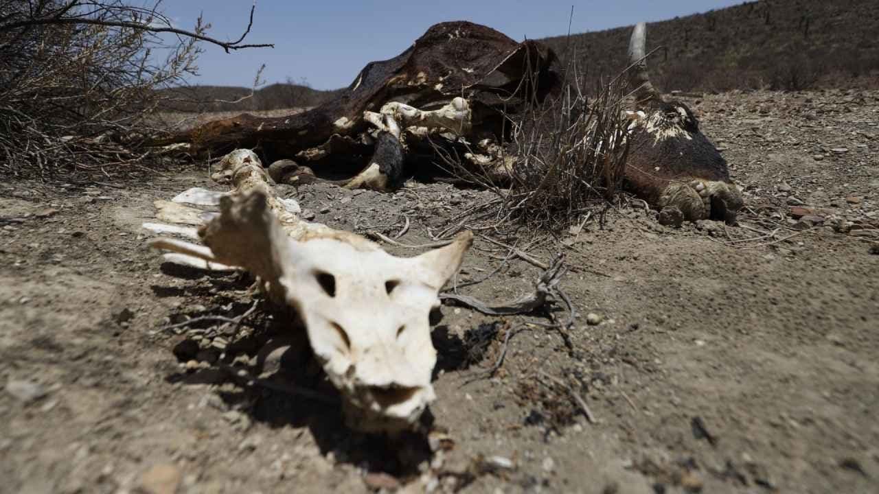 Ven a México Incapaz de Afrontar a 'El Niño' y 'La Niña'