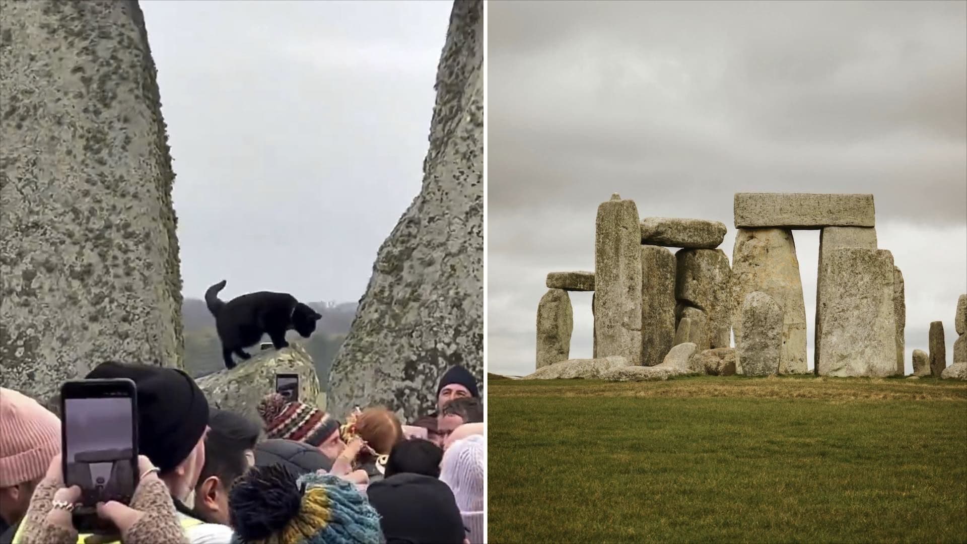 Un Gato Negro Se Roba la Celebración en Stonehenge por el Solsticio de Invierno 2025
