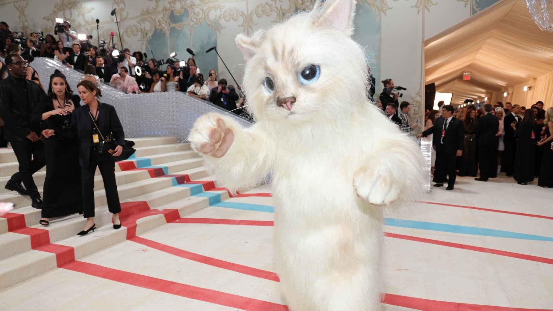 ¿Quién es Ese Lindo Gatito? Jared Leto Causa Furor en la Met Gala
