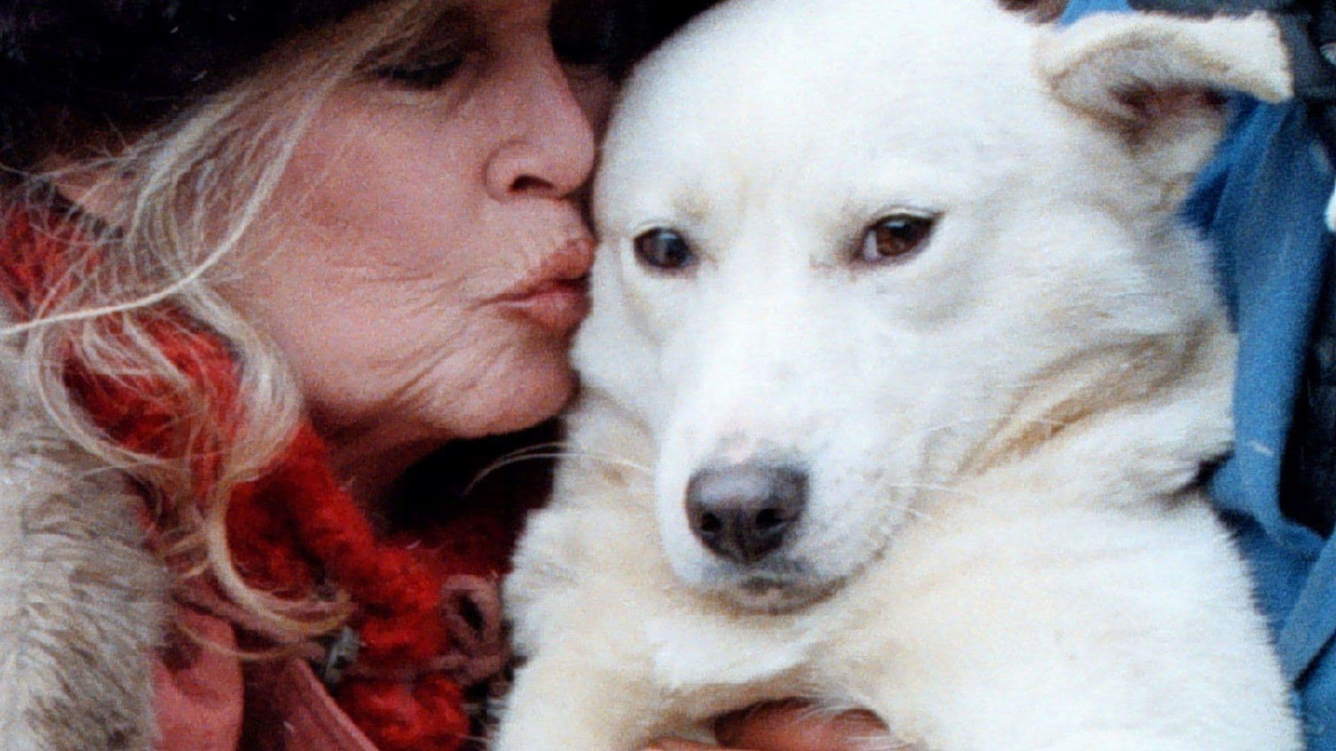 Brigitte Bardot Murió de Cáncer, Revela su Viudo