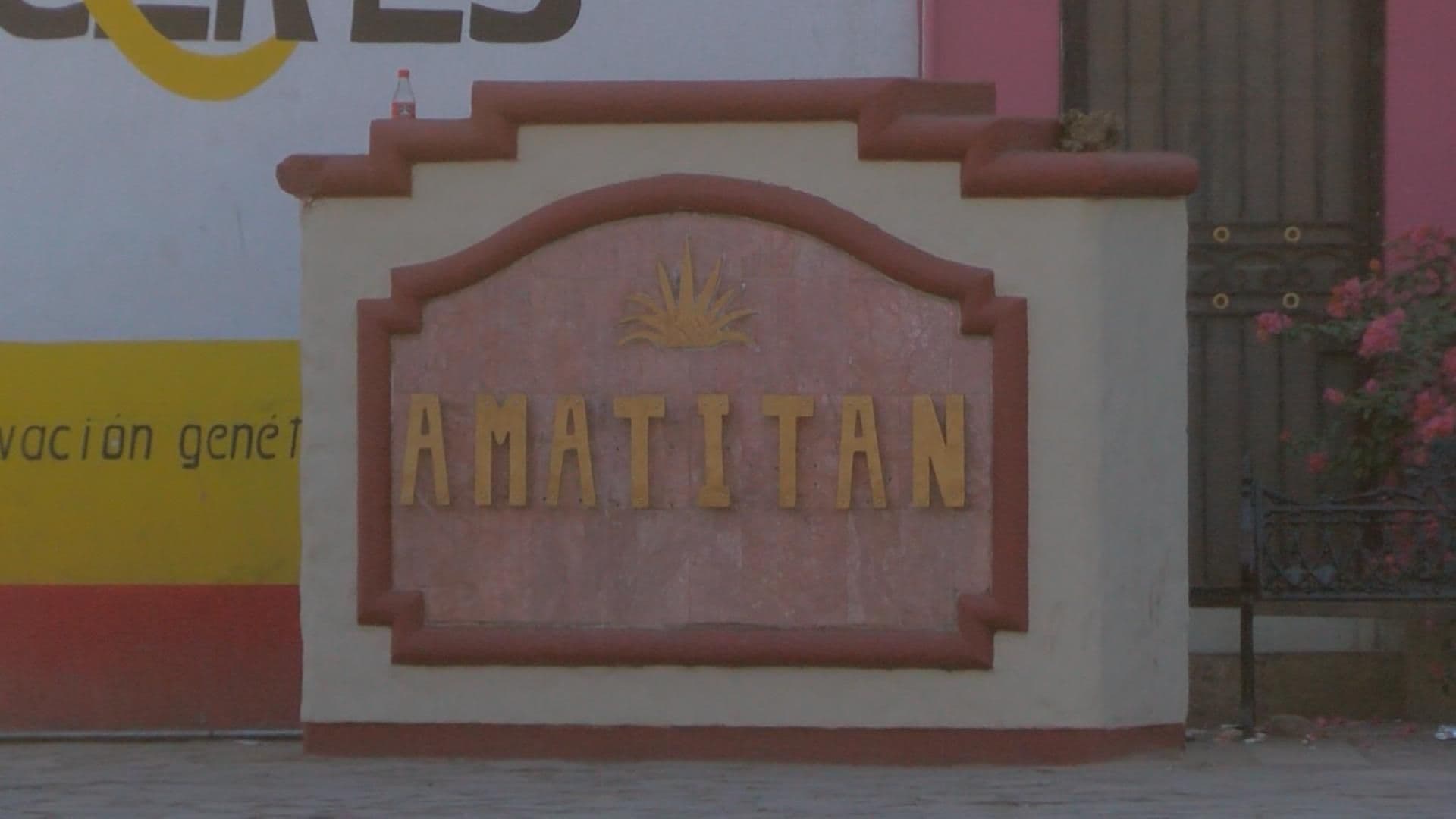 Tras Golpear a Jóvenes, Policías de Amatitán Podrían Ser Cesados