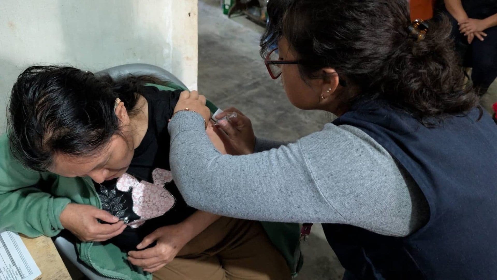 Mono Araña Ataca a una Mujer en Comitán, Chiapas