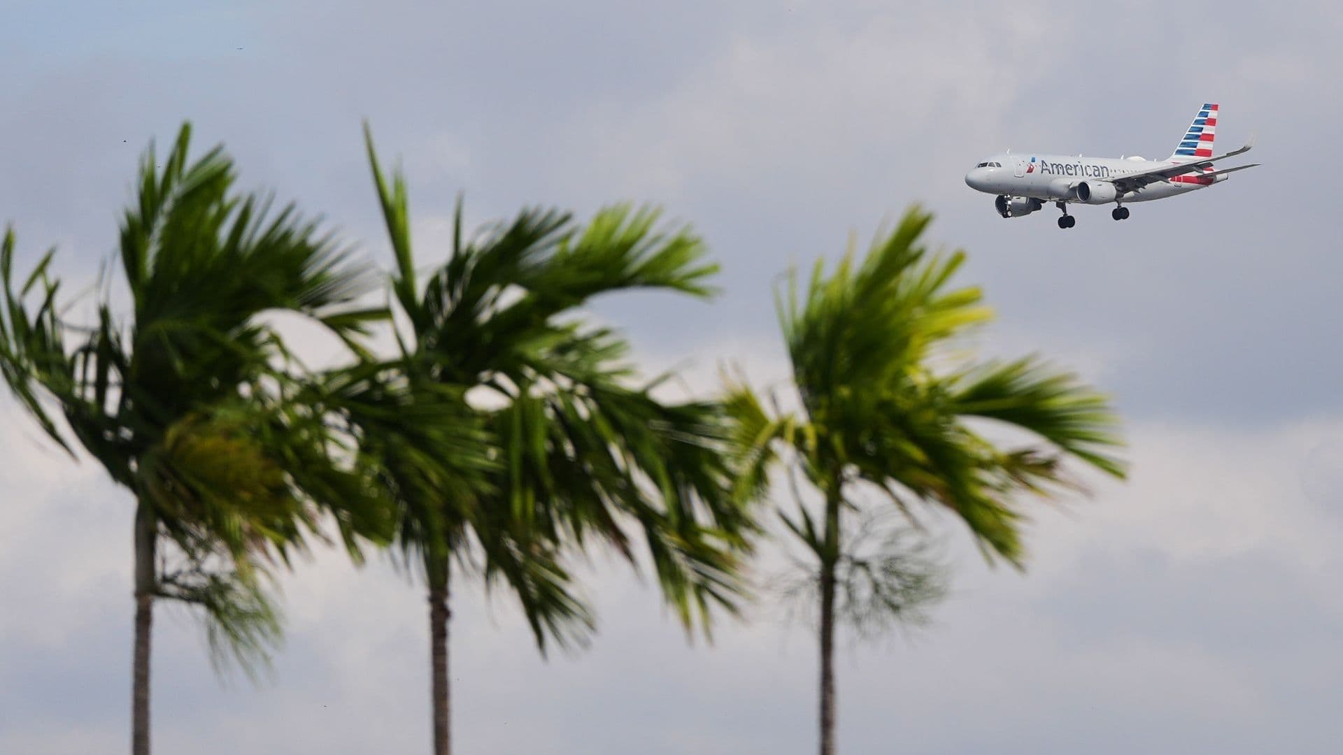 Evacuan Áreas del Aeropuerto de Miami por Objeto Sospechoso en Salidas