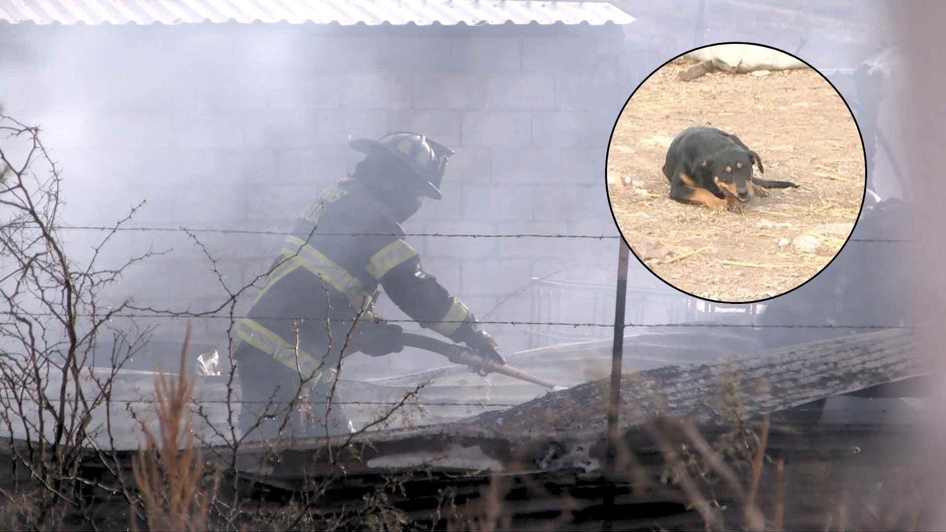 Perro Provoca Incendio en Rancho de Aquiles Serdán, Chihuahua