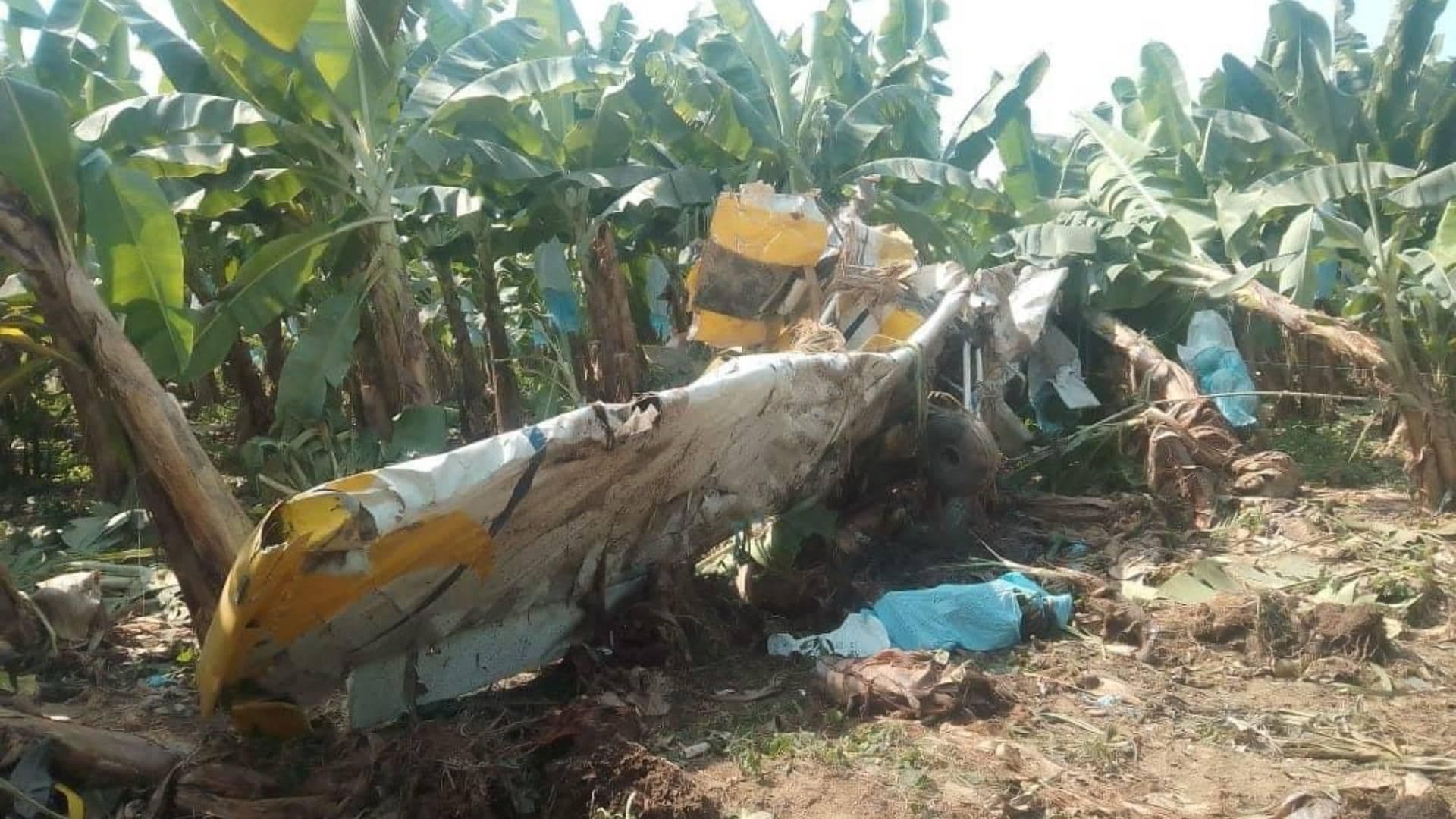 Se Desploma Avioneta en Plantío de Plátanos en Mazatán, Chiapas