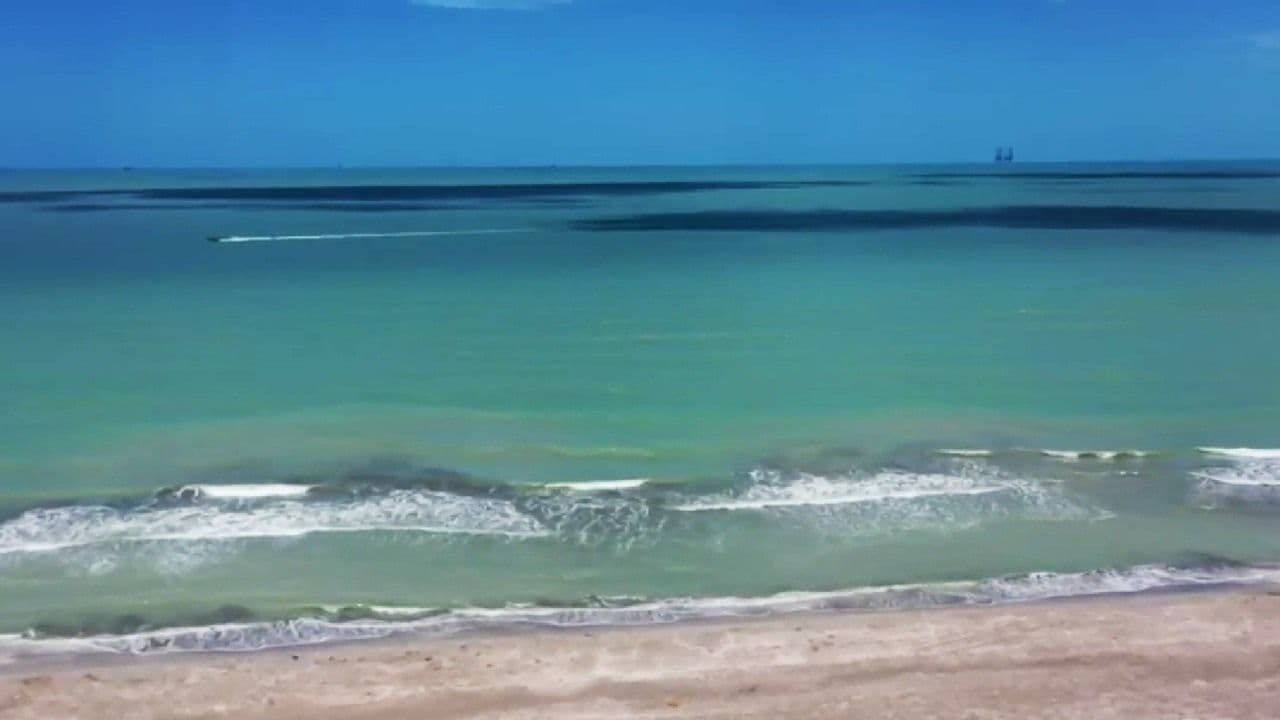 Ecocidio en Sonda de Campeche Avanza tras Derrame de Petróleo de Pemex