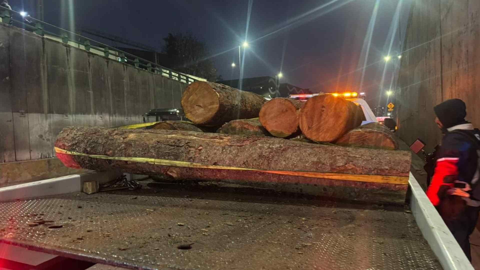 ¿Qué Pasó en Constituyentes? Troncos Causan Caos Vial en CDMX Hoy 11 de Febrero