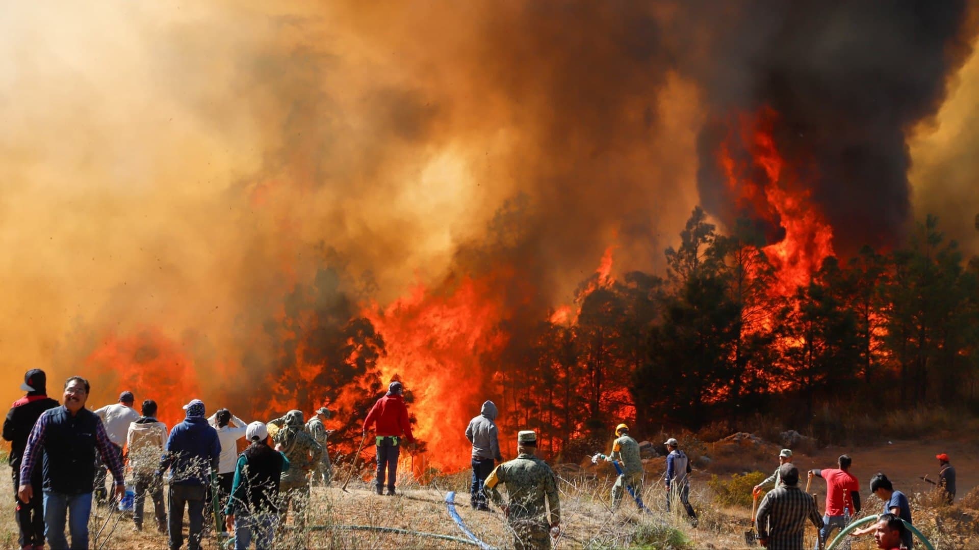 Combaten un Incendio Forestal en Bosque de Vicente Guerrero, Puebla