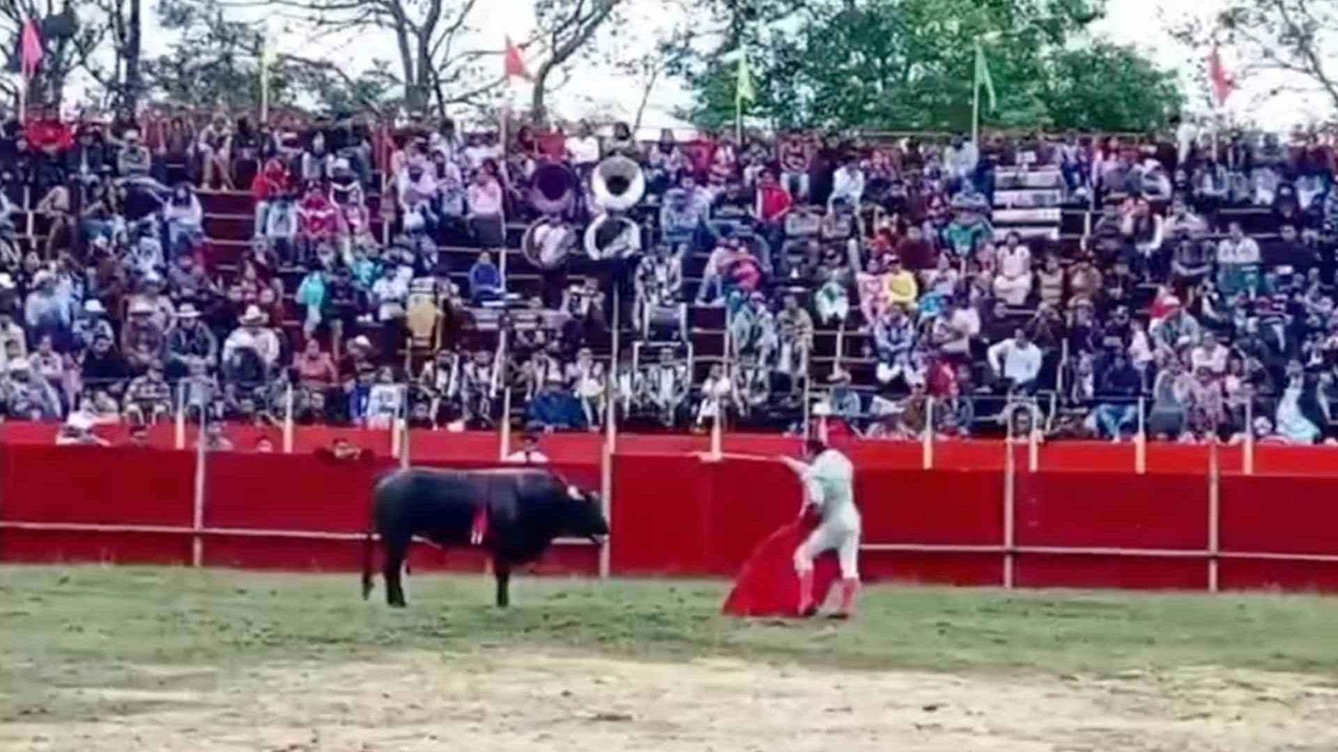 Sacrifican a Toro Durante Feria Patronal en Ixhuatlancillo, Veracruz