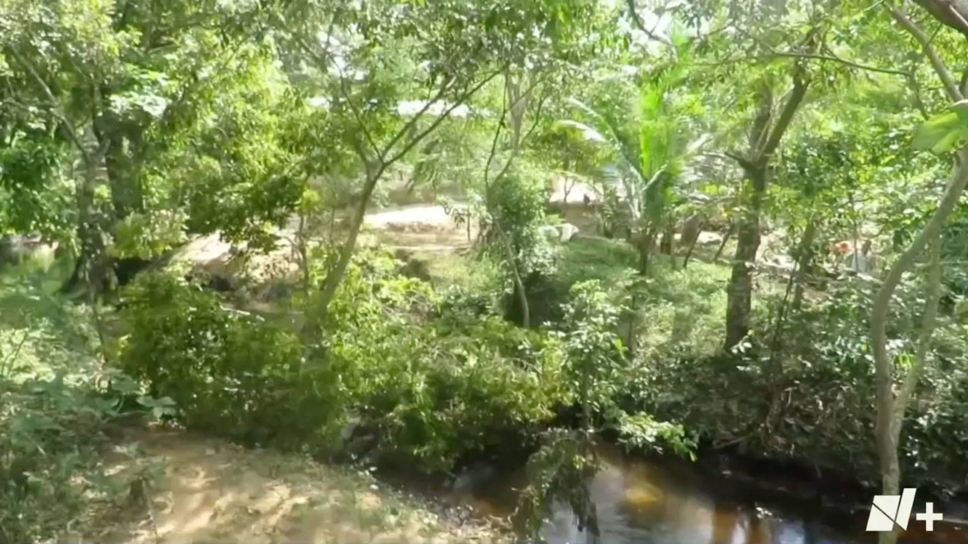 Derrame de Hidrocarburo Contamina Arroyo Mezcalizapa en Ixhuatlán del Sureste