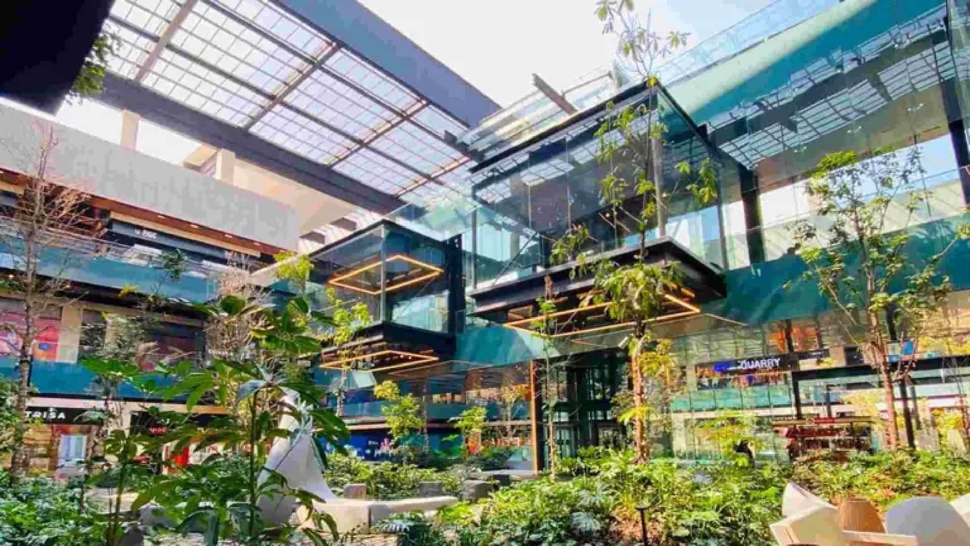 Muere Abuelita al Atragantarse en Área de Comida de Plaza Parque Tepeyac