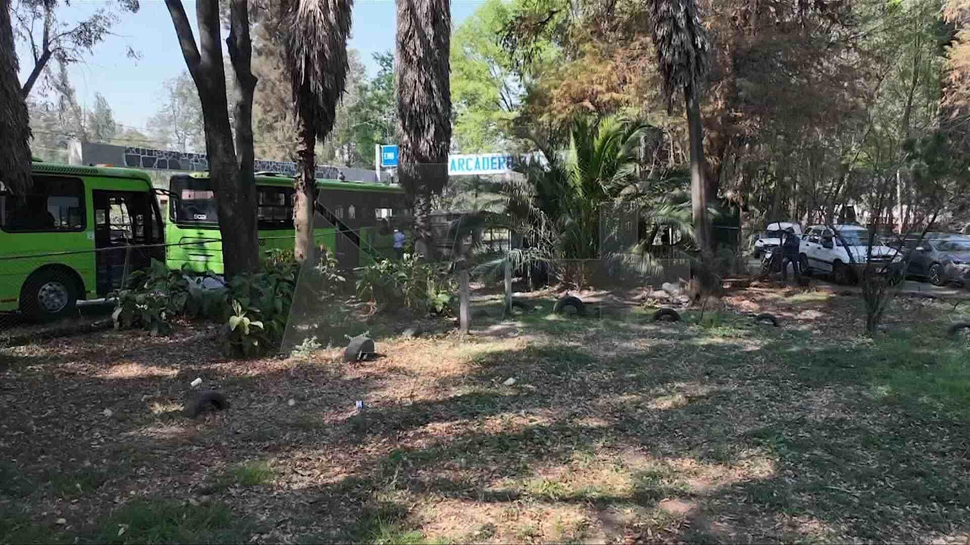 Justicia para “Negrita”: Reportan Nuevo Asesinato de Perro en Bosque de Nativitas, CDMX