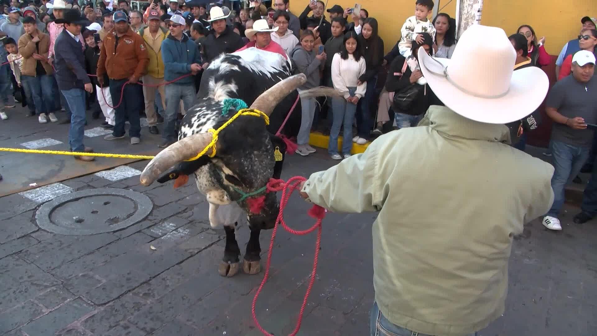 ¿Qué Significa el Paseo del Buey en las Fiestas de la Virgen del Pueblito?