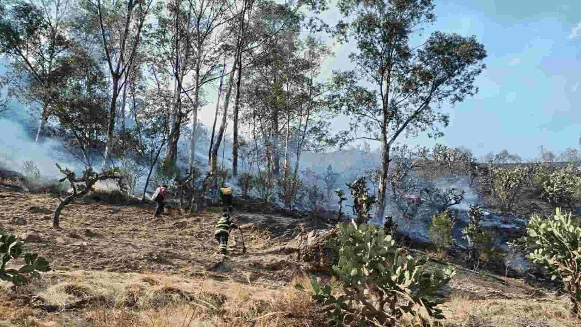Se Registra Incendio en Cerro de la Cruz, Alcaldía Tlalpan