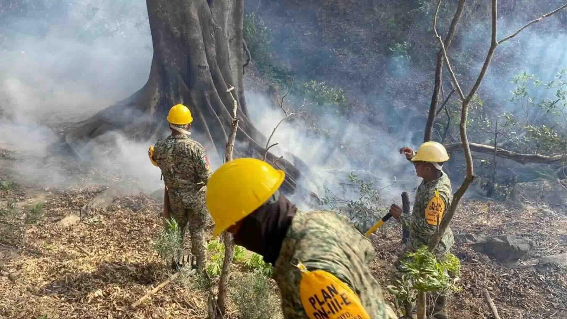 Incendio Forestal Consumió Más de Mil 100 Hectáreas en Arriaga, Chiapas; Laboran Bomberos