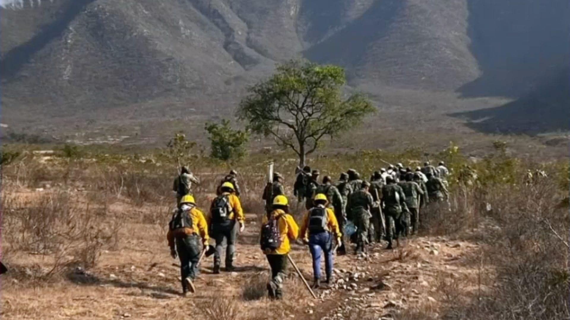Incendio Forestal en el Cerro El Gentil, en Huiloapan, es Liquidado por Completo