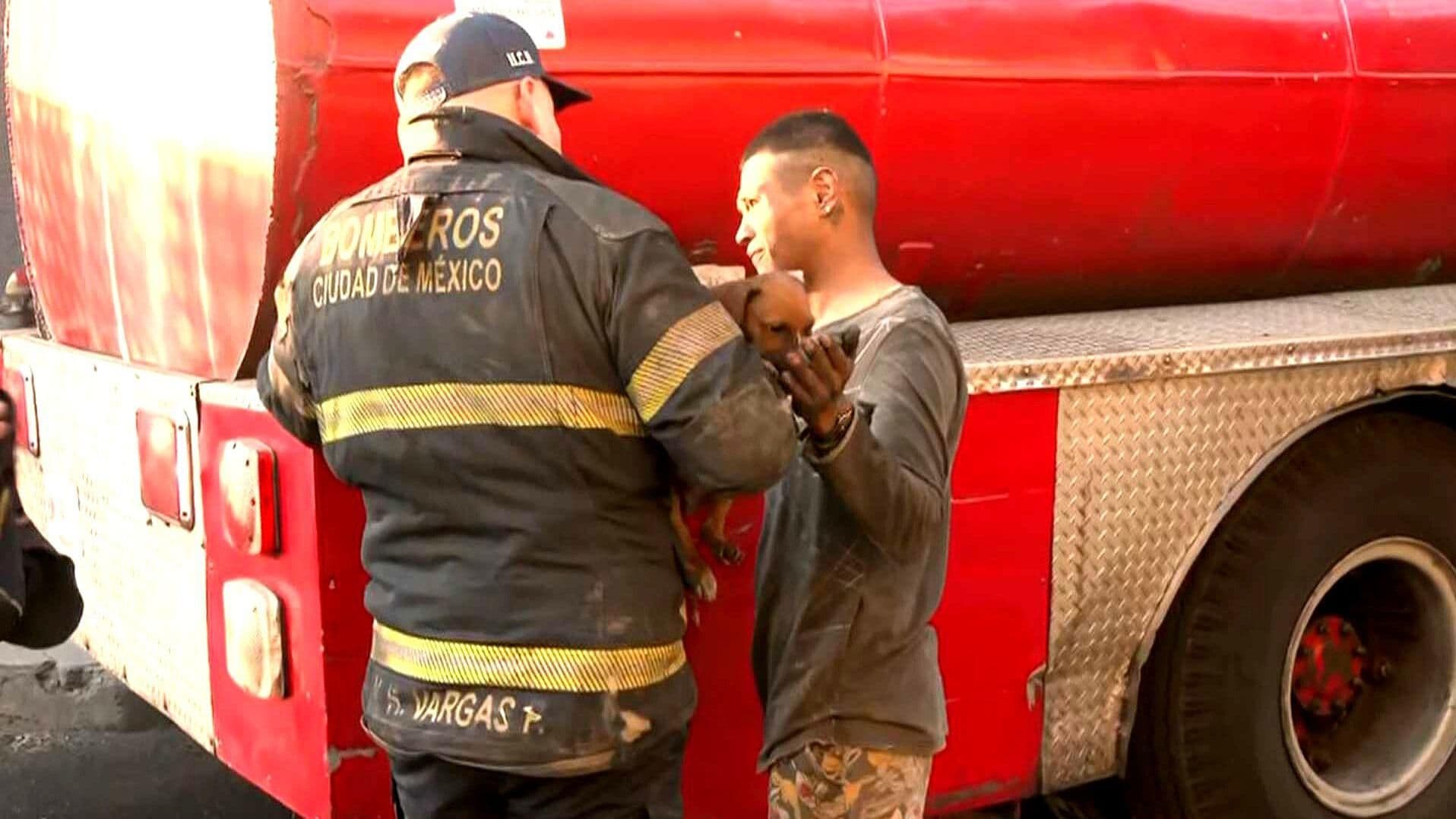 Rescatan a Perritos durante Incendio de Basura en Bajopuente en Av. Oceanía, CDMX