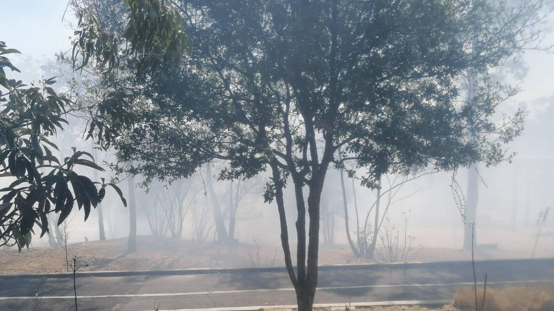 Fuerte Incendio en la Zona de Los Fuertes en Puebla