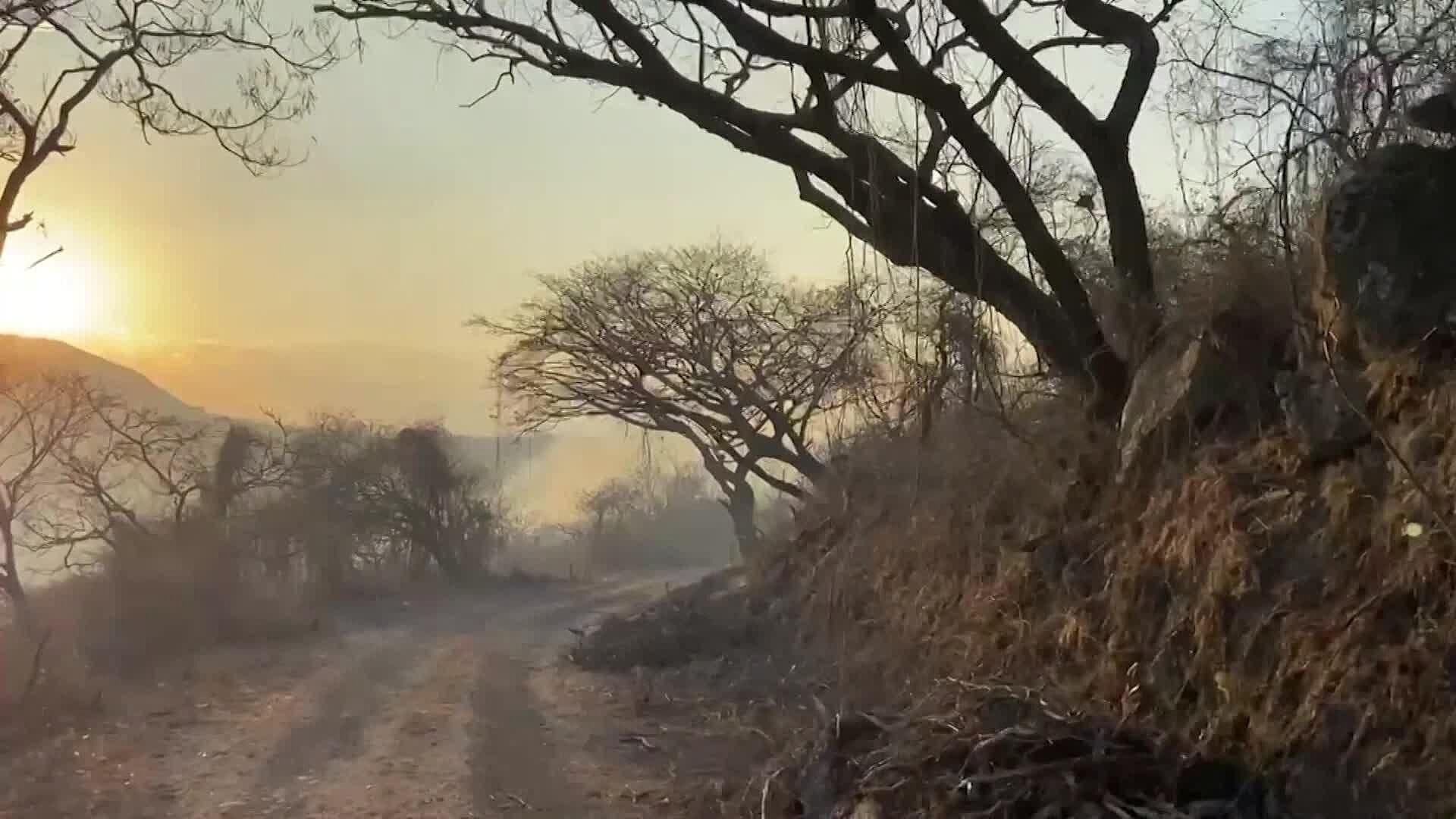 Incendio en La Piedrera en Ixtlahuacán de los Membrillos Deja Afectaciones en 100 Hectáreas
