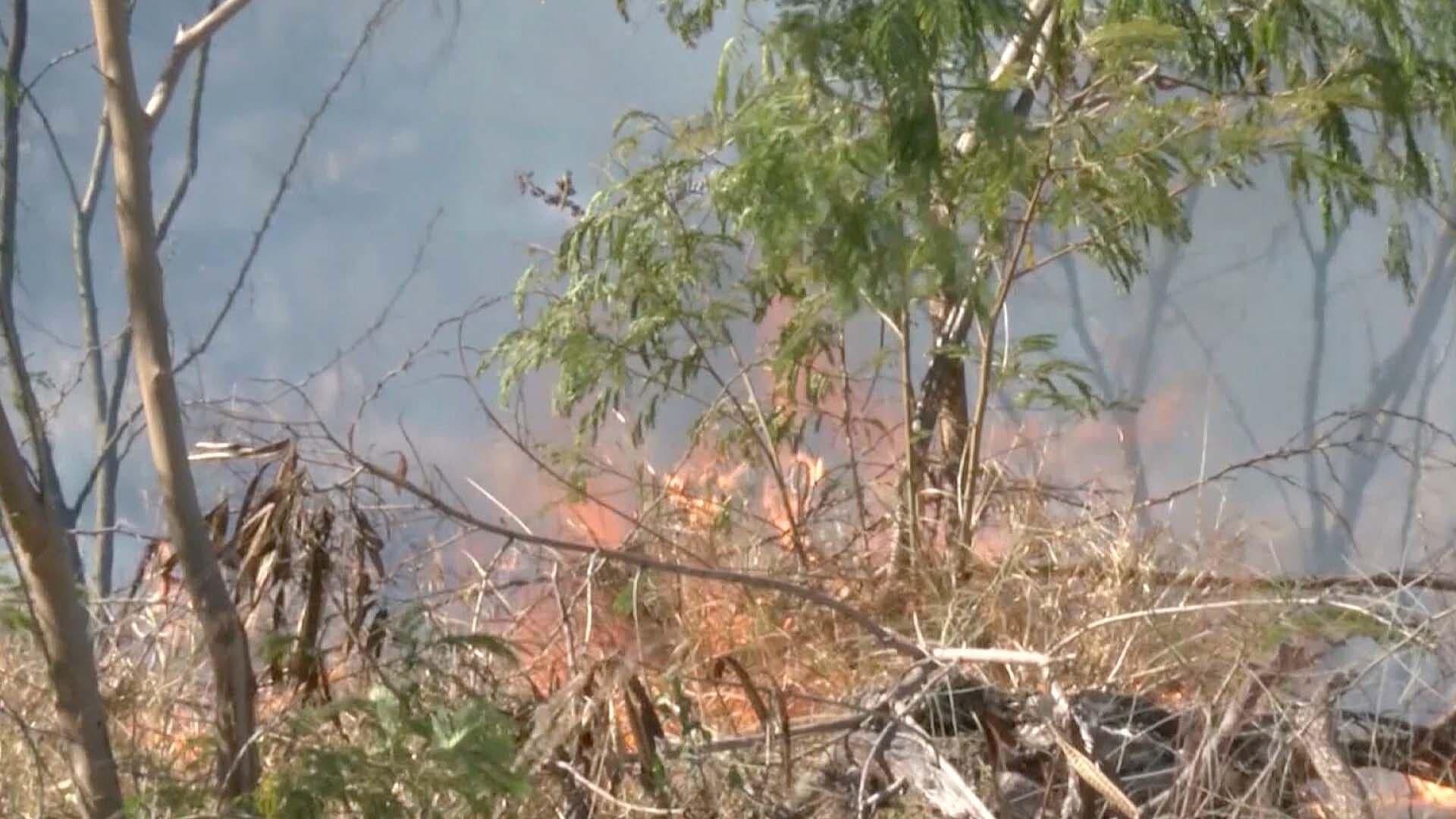 Registran Nuevo Incendio Forestal en Tamaulipas, Ahora en Jaumave