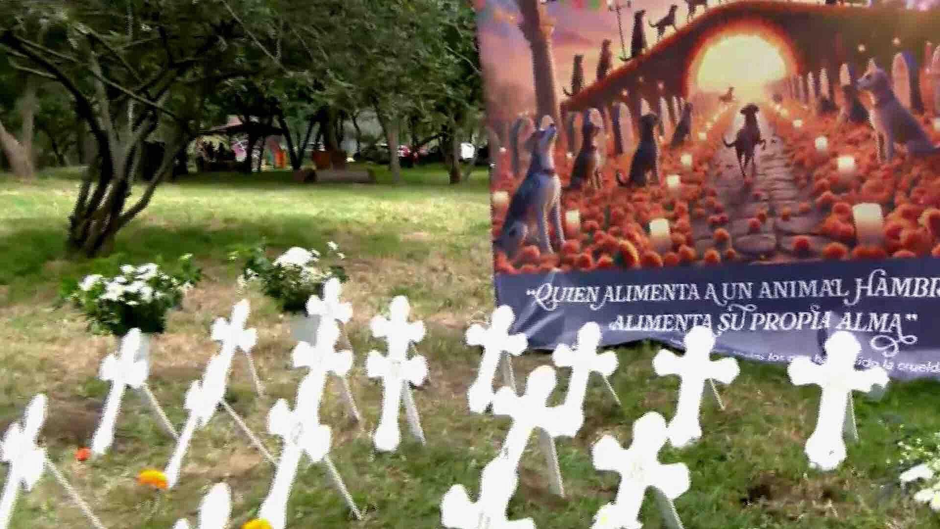 Realizan Ofrenda a Perritos Asesinados en el Bosque de Nativitas