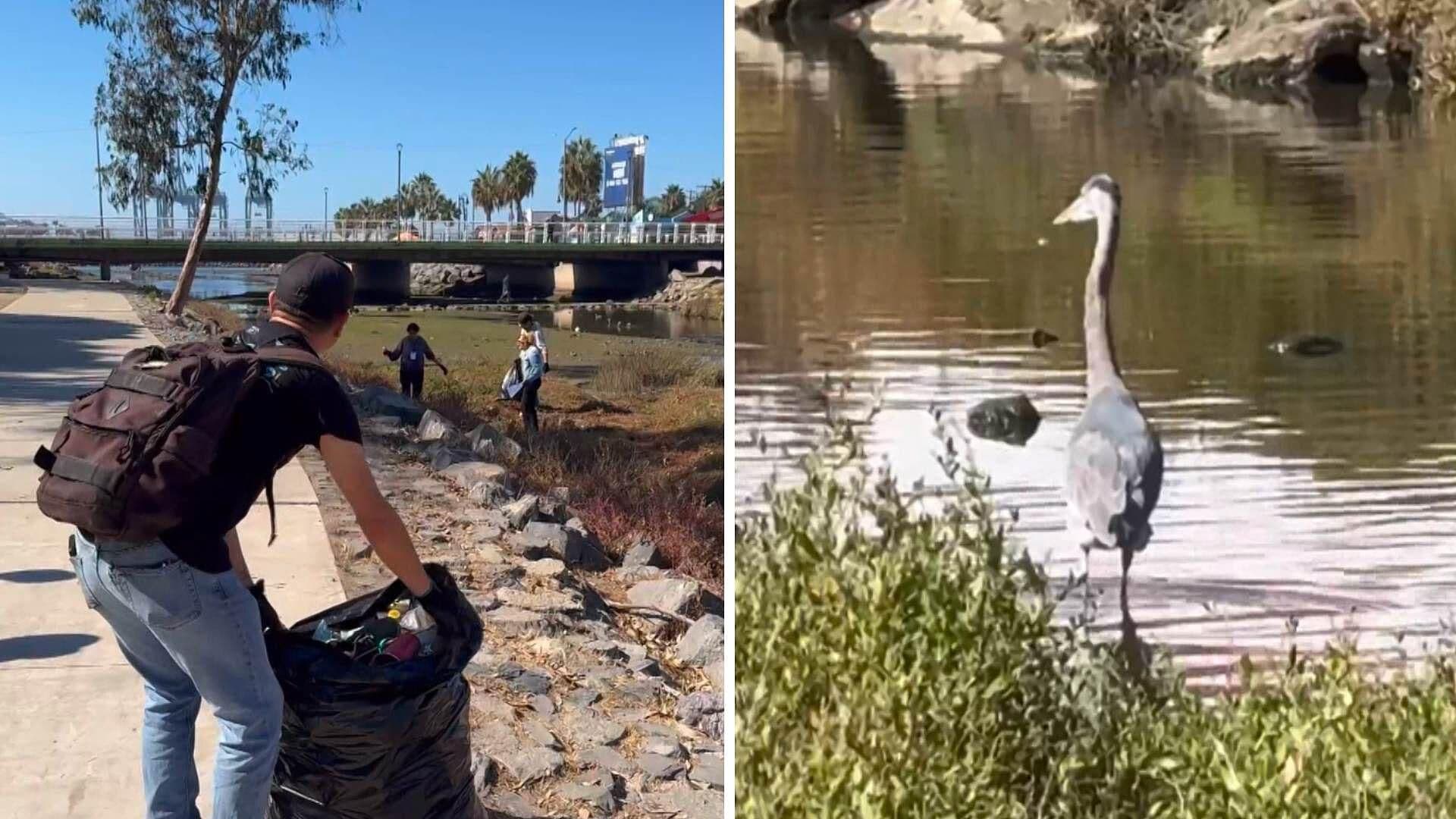 Voluntarios Retiran 119 Kilos de Basura en Arroyo Habitado por Aves Migratorias en B.C.