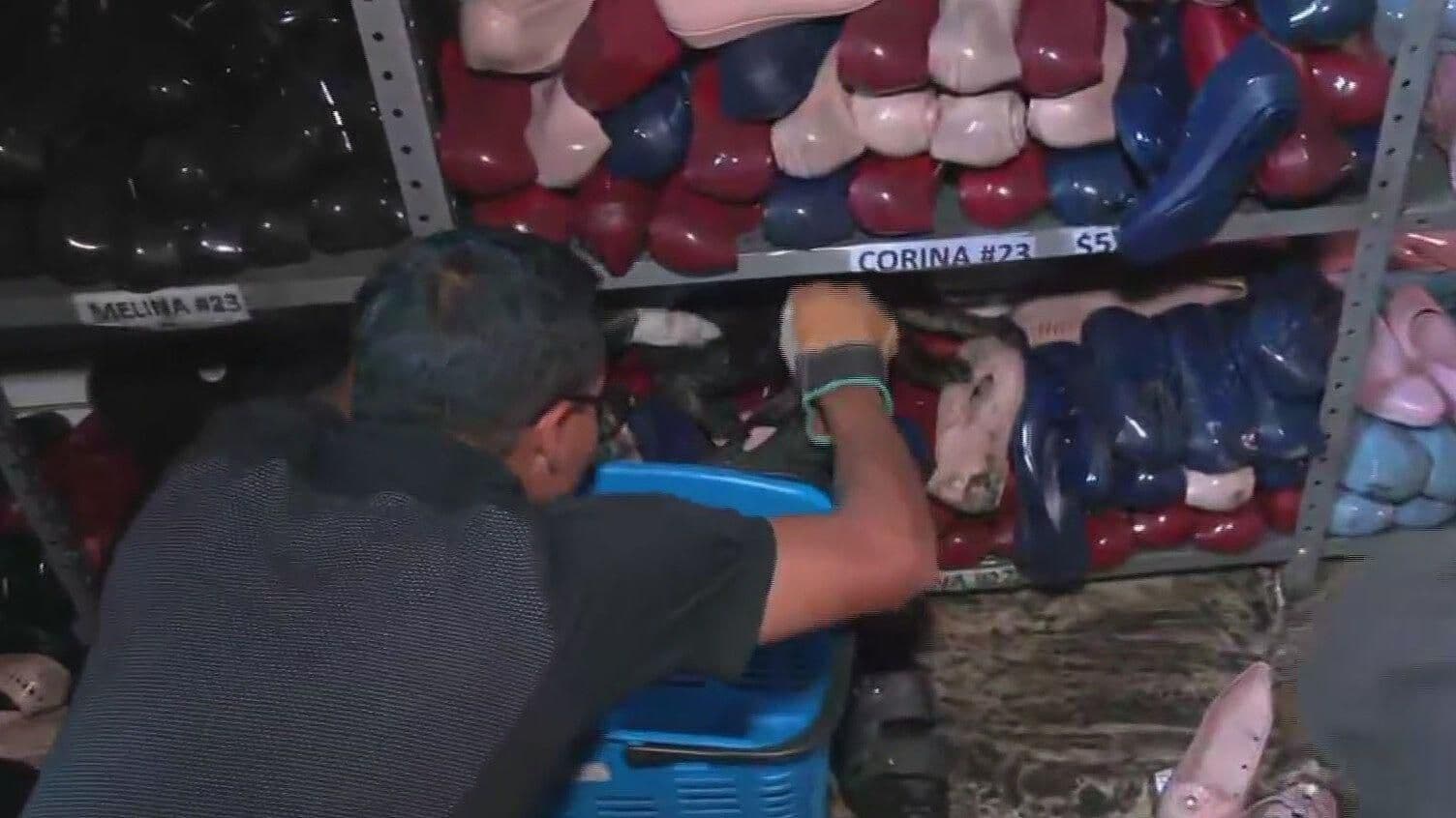 Rescatan a Gatito Asustado por el Incendio en Plaza Oasis