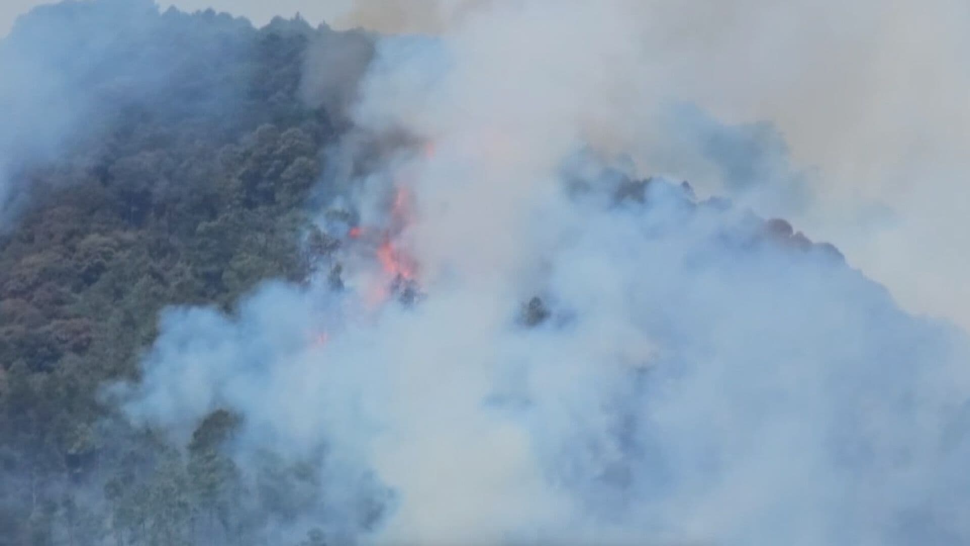 Continúa Activo Incendio Forestal en Tlachichuca, Puebla; Esto se Sabe