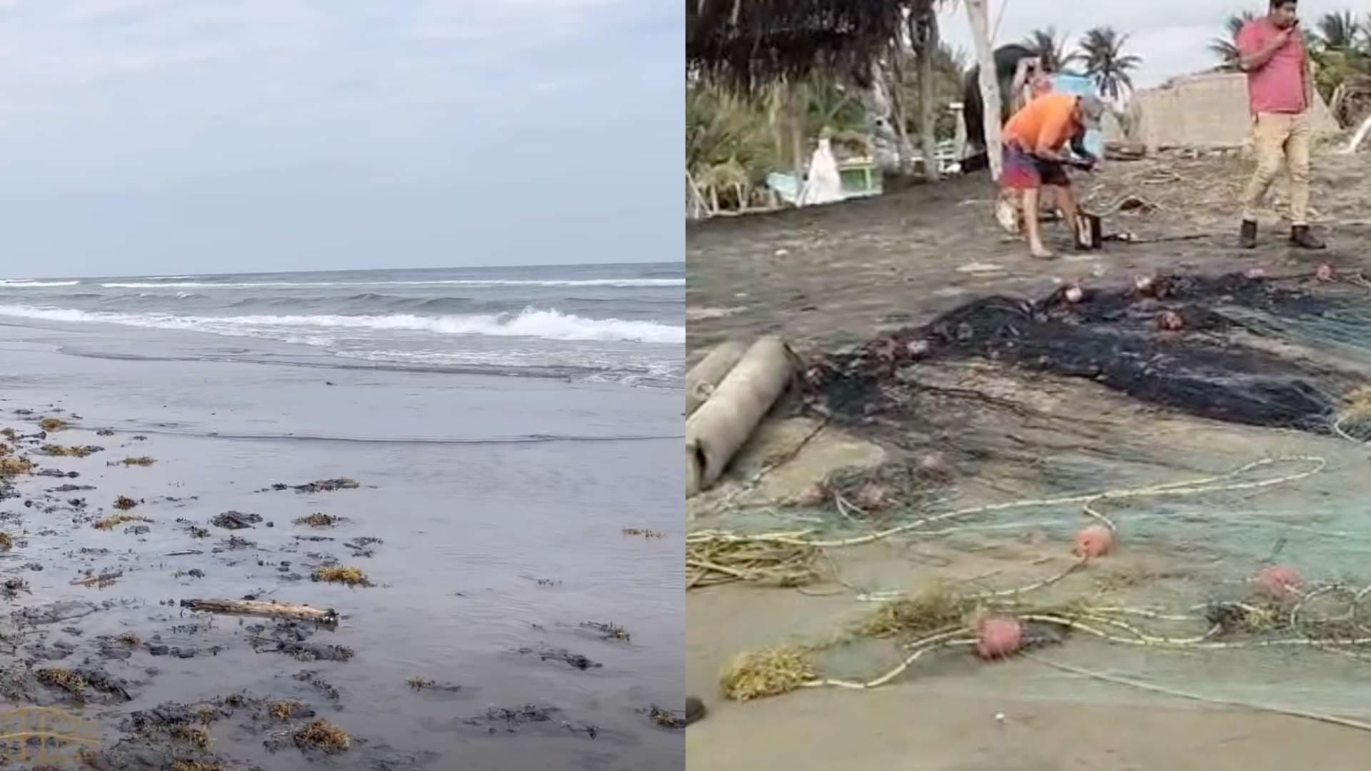 Cierran Zona de Playa por Derrame de Hidrocarburo en Pajapan, Veracruz