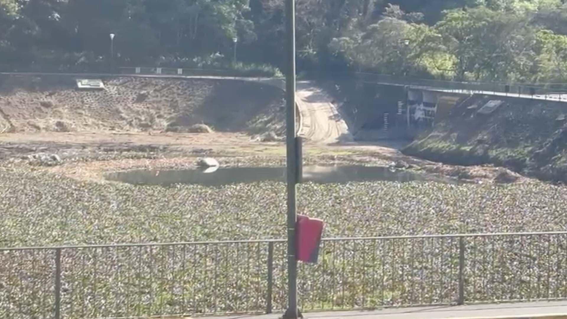 El Chirimoyo: Un Vaso Regulador que Alberga un Microecosistema en Orizaba