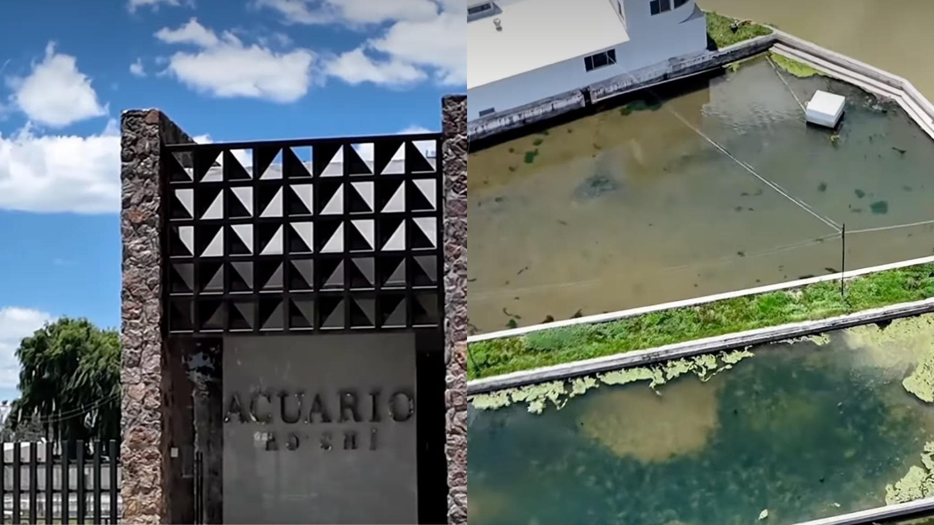 Guachochi Tendrá el Primer Acuario del Estado de Chihuahua; ¿Cuándo lo Inauguran?