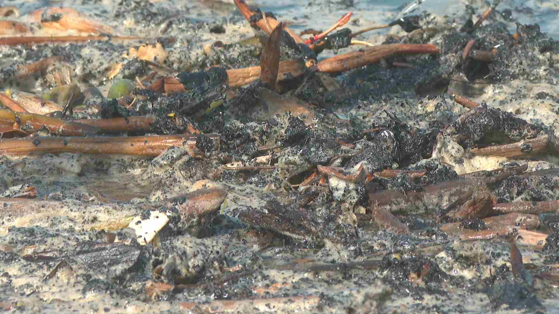 Recalan Restos de Hidrocarburo en Playas de Antón Lizardo en Alvarado, Veracruz