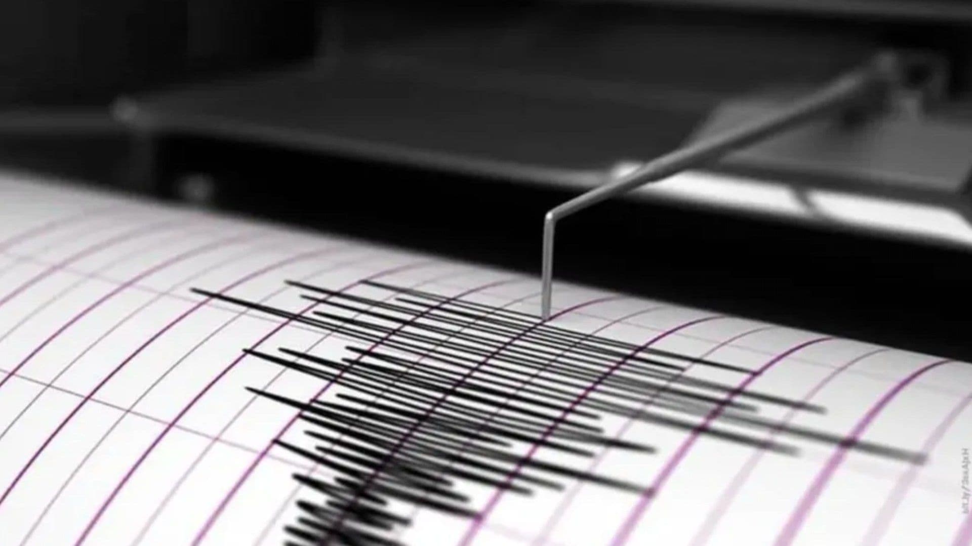 Sismo Magnitud 3.9 Sacude a Playas de Rosarito y Parte de Tijuana; Evacúan Palacio Municipal