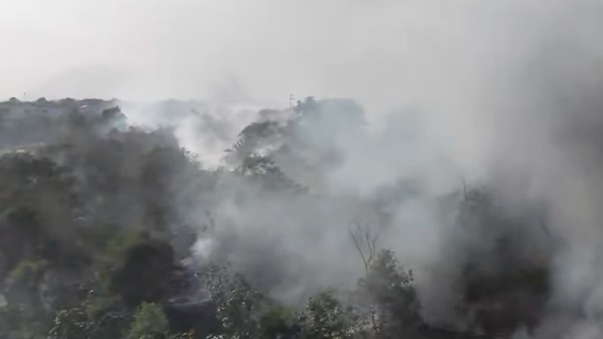 Moviliza Incendio en Río Pesquería en Apodaca, Nuevo León