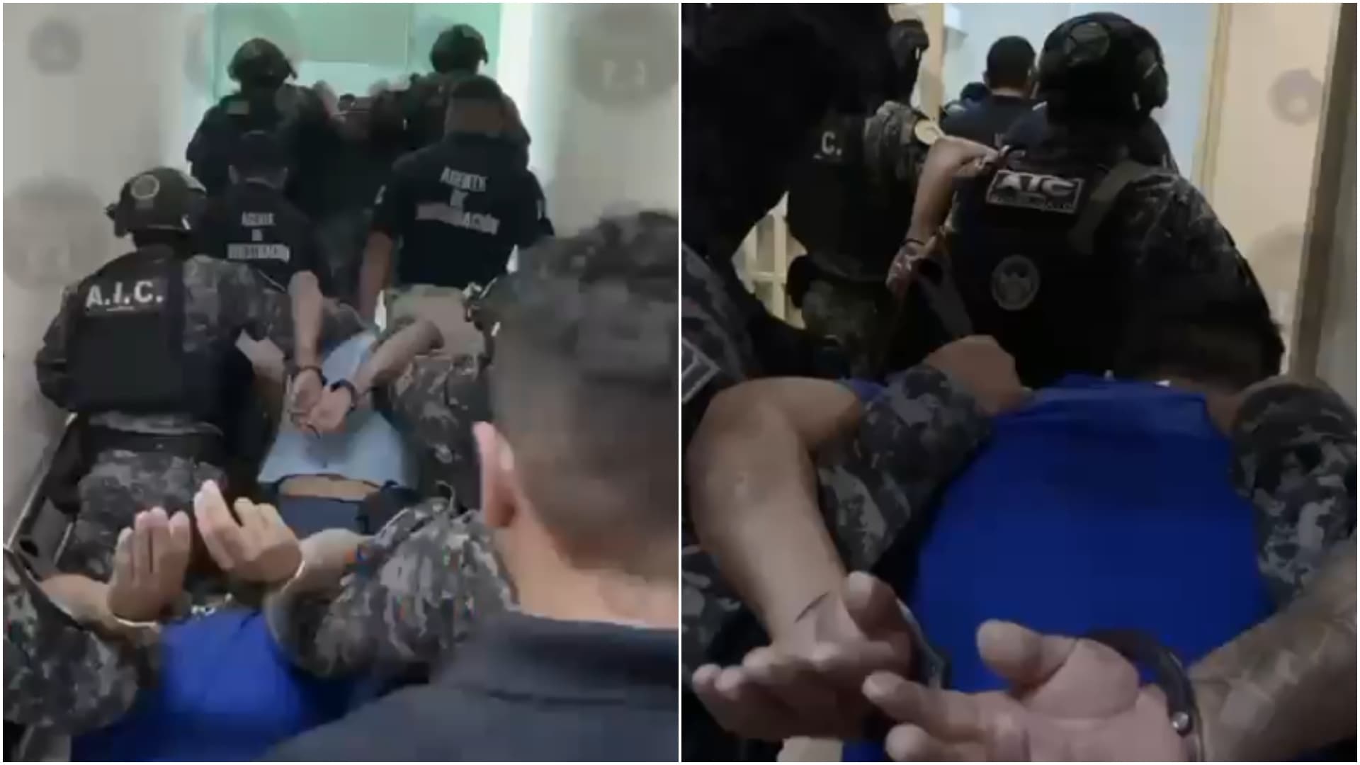Fiscalía de Guanajuato Detiene a 7 por Asesinato de Gisela Gaytán, Candidata de Morena