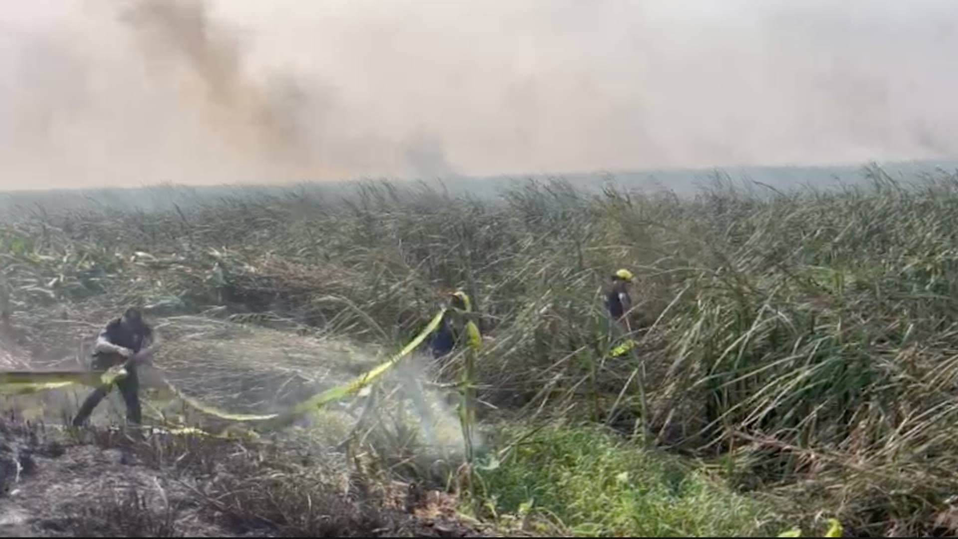 Incendio en Zona de Pantano Ocasiona el Cierre de la Carretera Coatzacoalcos-Minatitlán